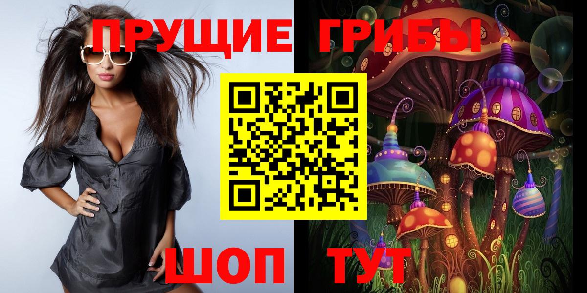 Псилоцибиновые грибы мицелий Губаха