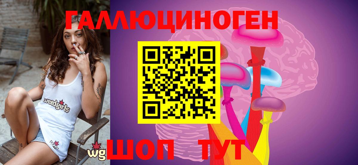 Галлюциногенные грибы Cubensis  Вход с VPN  Губаха 