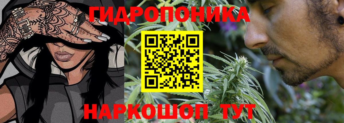 Канабис конопля  Вход с VPN  Каннабис сатива  Губаха 